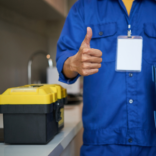 Pest control Services